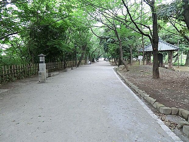 公園 300m 飛鳥山公園