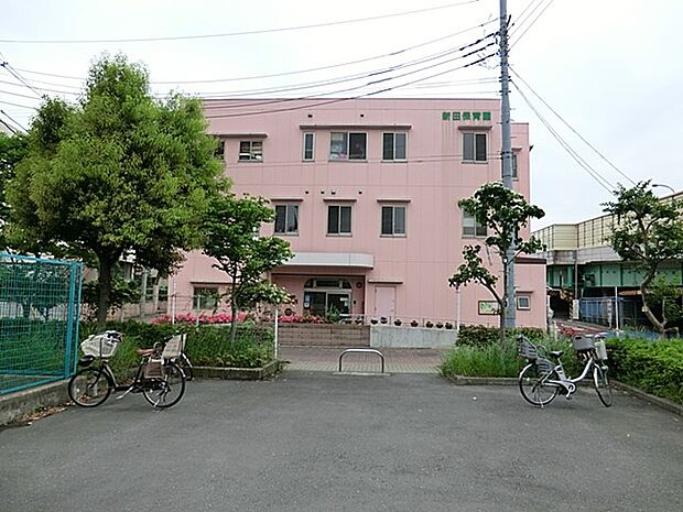 幼稚園・保育園 500m 新田保育園