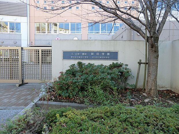 小学校 1000m 足立区立新田小学校