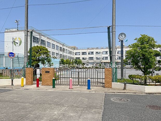 小学校 580m 足立区立花畑小学校