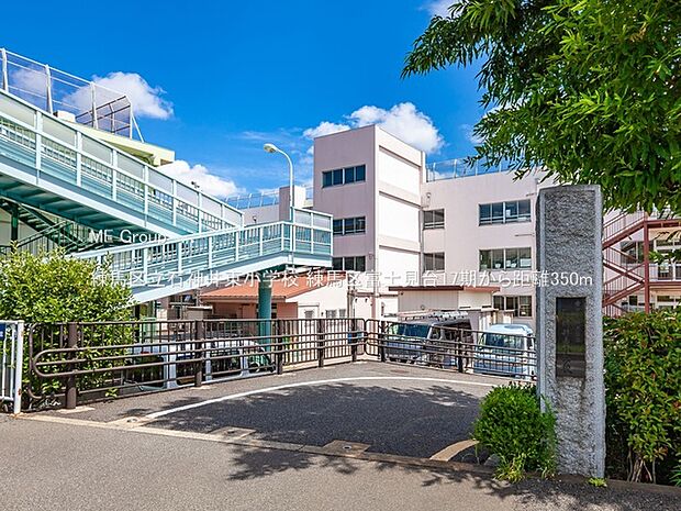 小学校 350m 練馬区立石神井東小学校