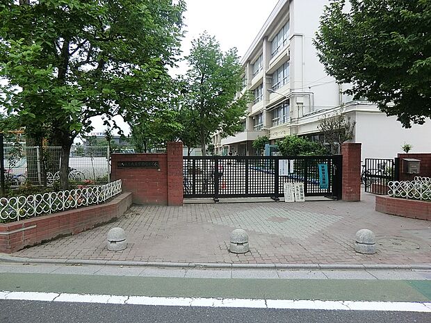 小学校 600m 練馬区立大泉学園緑小学校