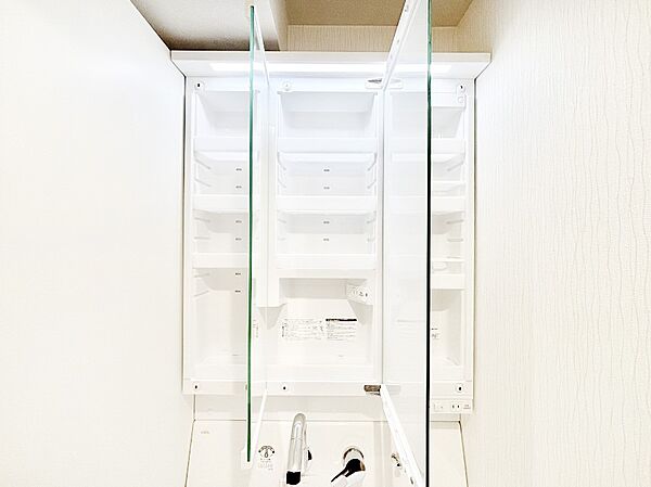 三面鏡の裏に、化粧品や衛生用品などを収納可能。洗面台をすっきりと保ちます！