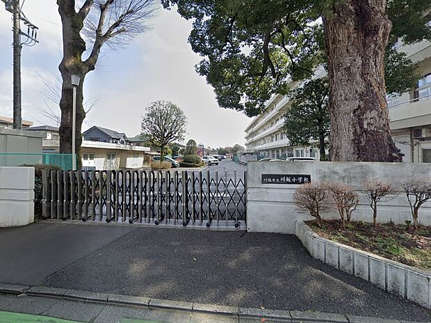 小学校 1200m 川越市立川越小学校