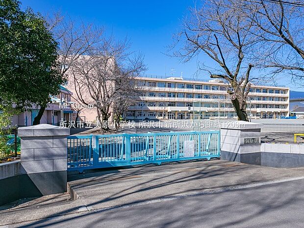 小学校 1200m 所沢市立美原小学校