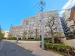 目白ガーデニア