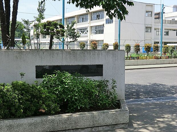 小学校 70m 東村山市立八坂小学校