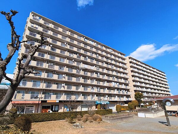 外観：311002343043