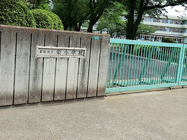 小学校 500m 新座市立栄小学校