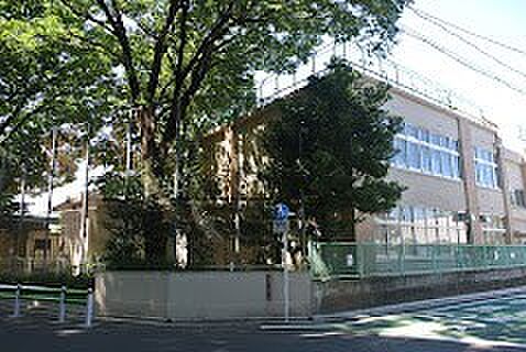 小学校 480m 杉並区立桃井第四小学校