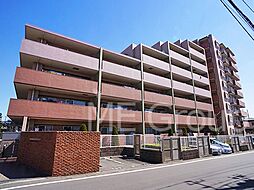 ビクトリアアネーロ大宮