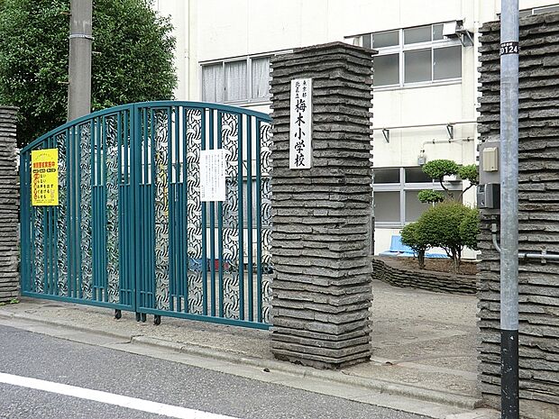 小学校 450m 北区立梅木小学校