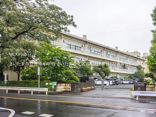 小学校 920m さいたま市立宮原小学校
