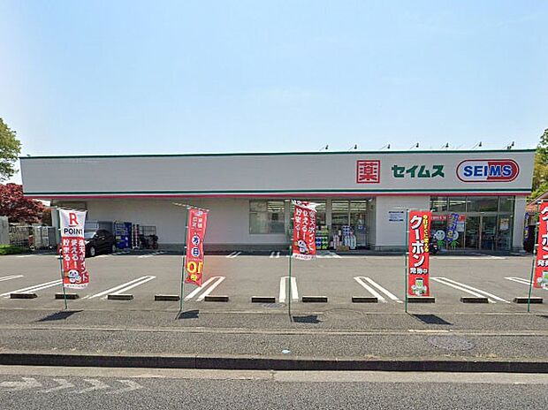 ドラッグストア 300m ドラッグセイムス国分寺並木店