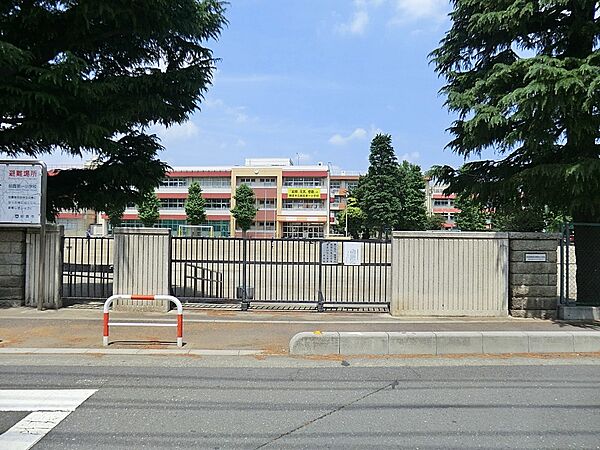 小学校 600m 朝霞市立朝霞第一小学校