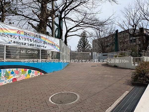 小学校 310m 中野区立桃花小学校