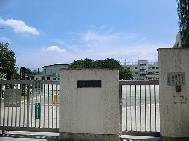 小学校 600m 世田谷区立松原小学校
