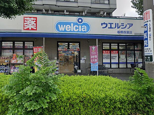 ドラッグストア 800m ウエルシア板橋四葉店