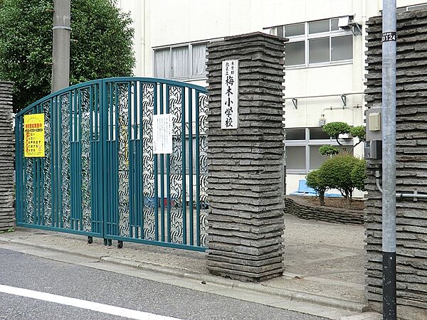 小学校 450m 北区立梅木小学校