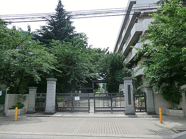 中学校 1800m さいたま市立田島中学校