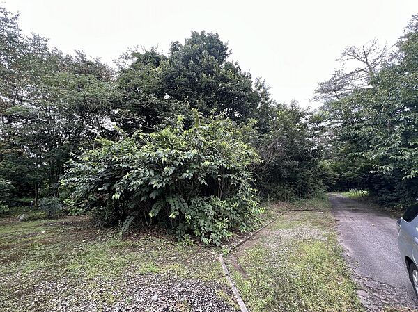 左側から
