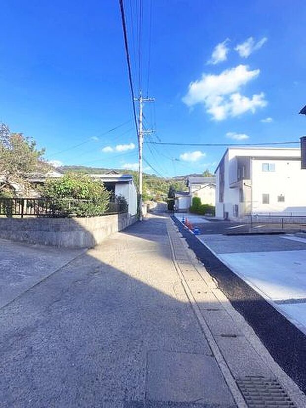 前面道路含む現地写真