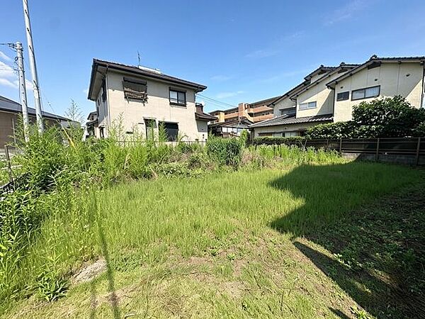 外観：343000093244