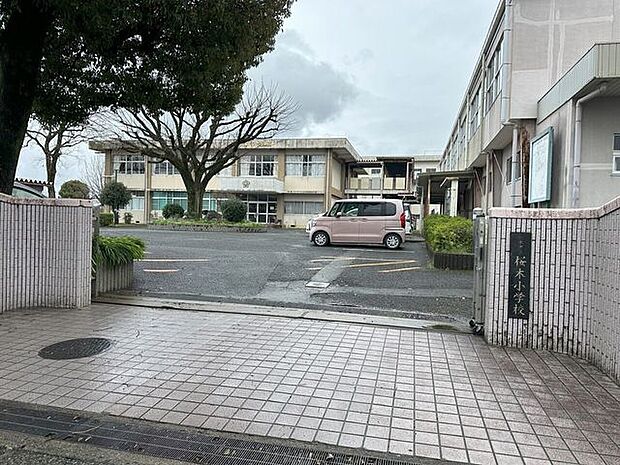桜木小学校 1250m