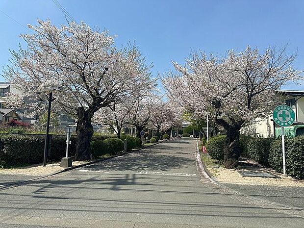 熊本高校 950m