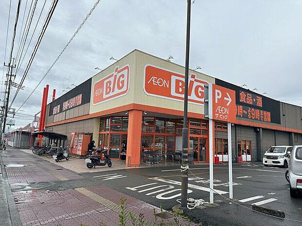 ザ・ビッグ桜木店 1320m