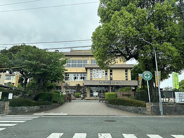 楠小学校 1000m