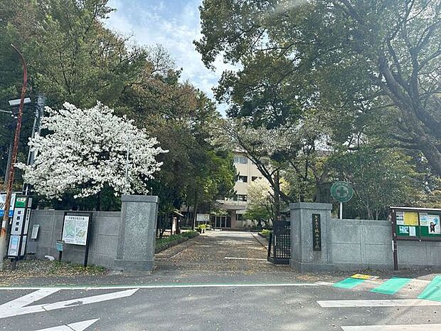 城西小学校 640m