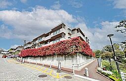 藤和ライブタウン百合ヶ丘II1号棟