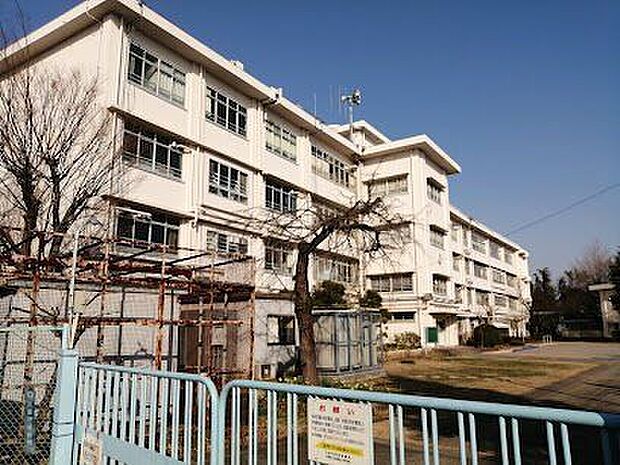 白幡台小学校 470m