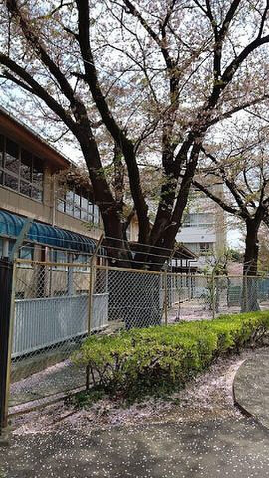 犬蔵中学校 1010m