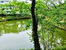 周辺：籠口ノ池公園 720m