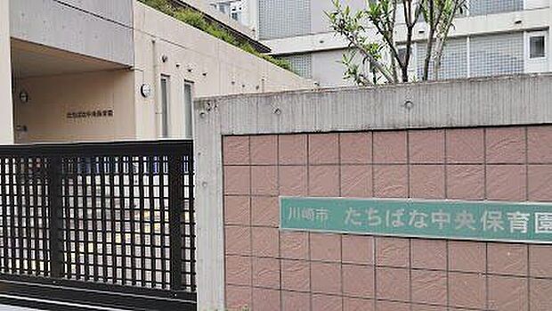 たちばな中央保育園 1230m