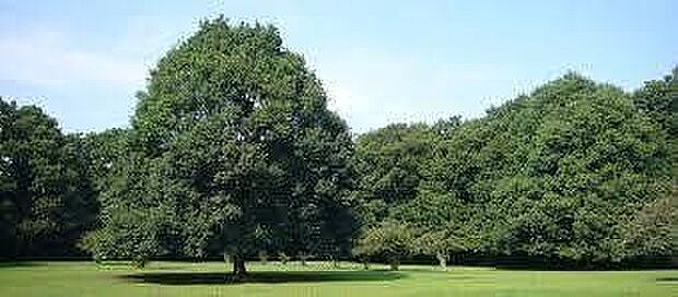 市立東高根森林公園 650m