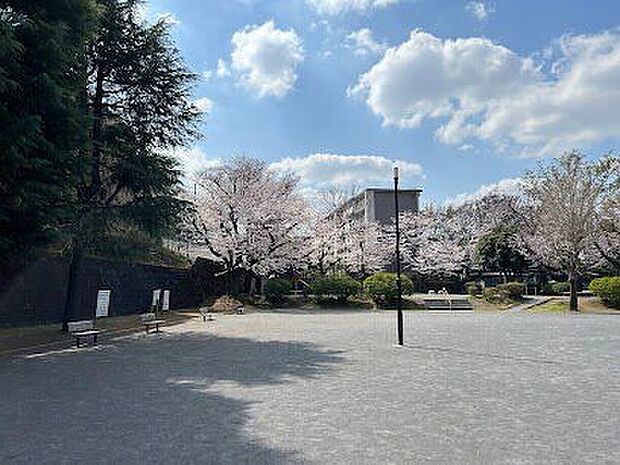 向ヶ丘公園 290m