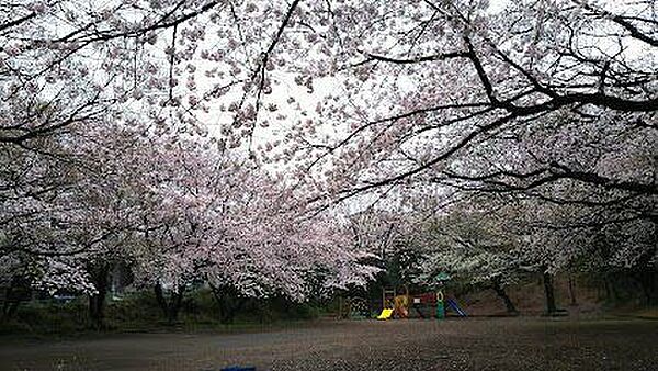 小台西公園 670m
