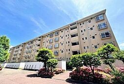 宮前平アベリア