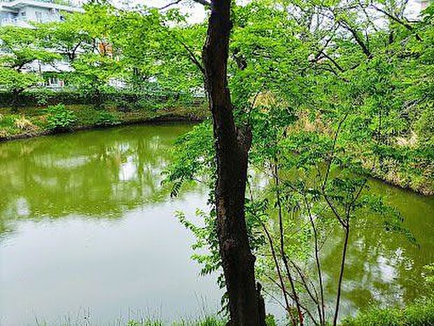 籠口ノ池公園 1040m