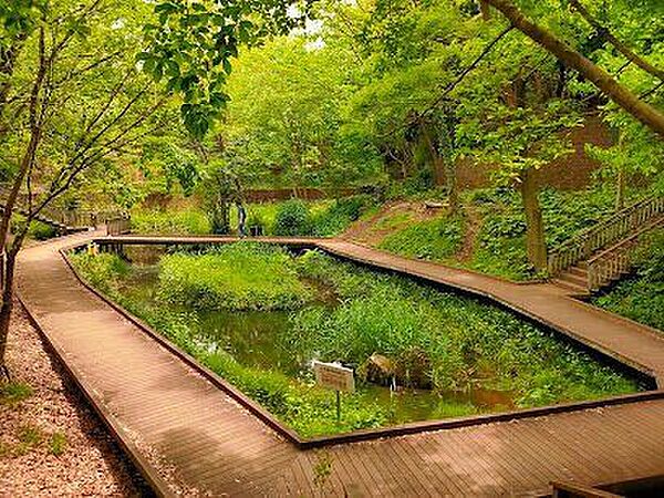 宮前美しの森公園 290m