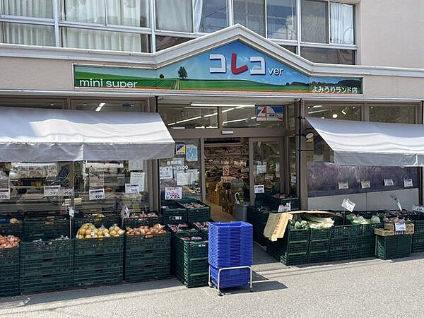 コレコ　よみうりランド店 600m