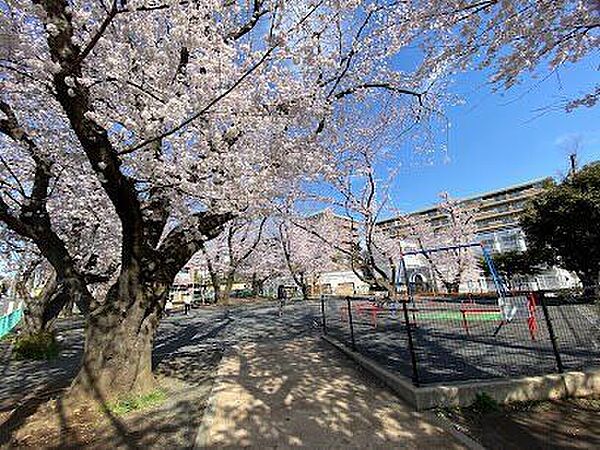 小台東公園 320m