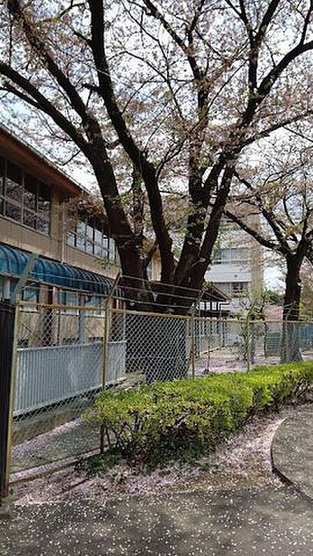 犬蔵中学校 1070m
