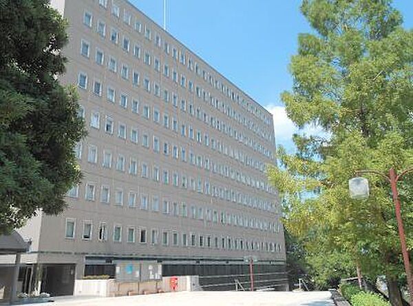 和光大学 440m