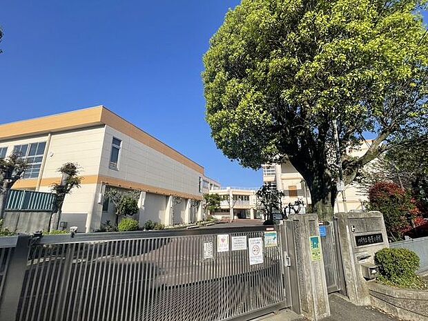 南菅小学校 520m