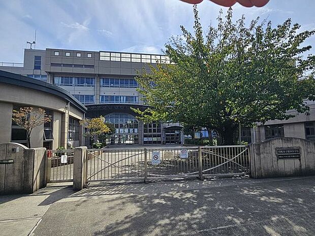川崎市立稲田小学校 1200m