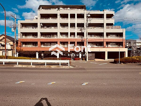 外観：313004544450